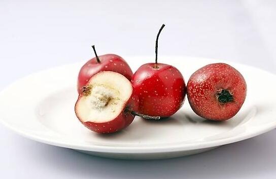 饭后吃什么水果好 猕猴桃能让你加速“脂肪燃烧”